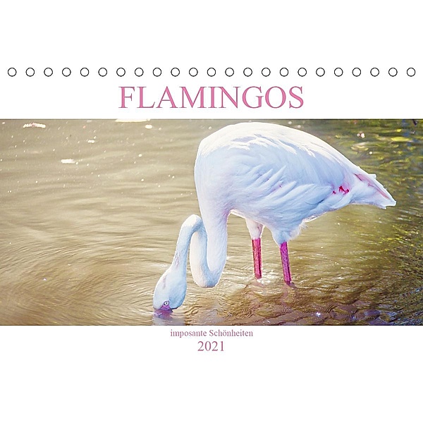 Flamingos - imposante Schönheiten (Tischkalender 2021 DIN A5 quer), Liselotte Brunner-Klaus