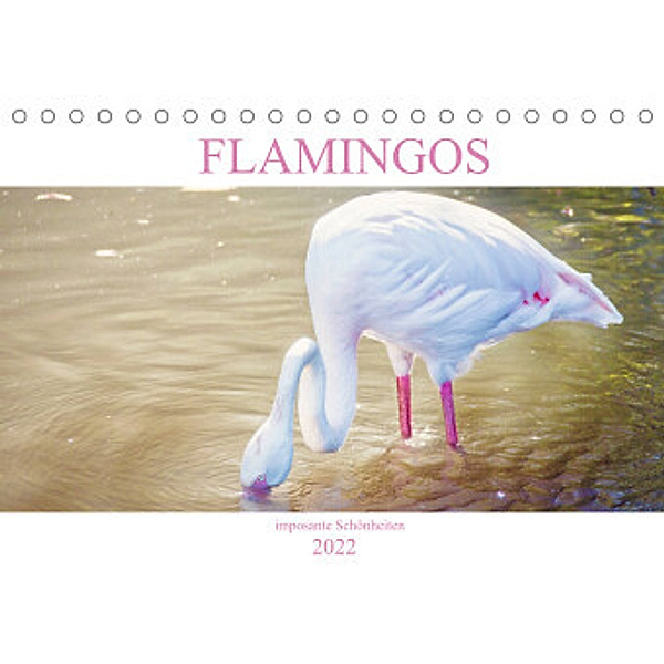 Flamingos - imposante Schönheiten (Tischkalender 2022 DIN A5 quer), Liselotte Brunner-Klaus