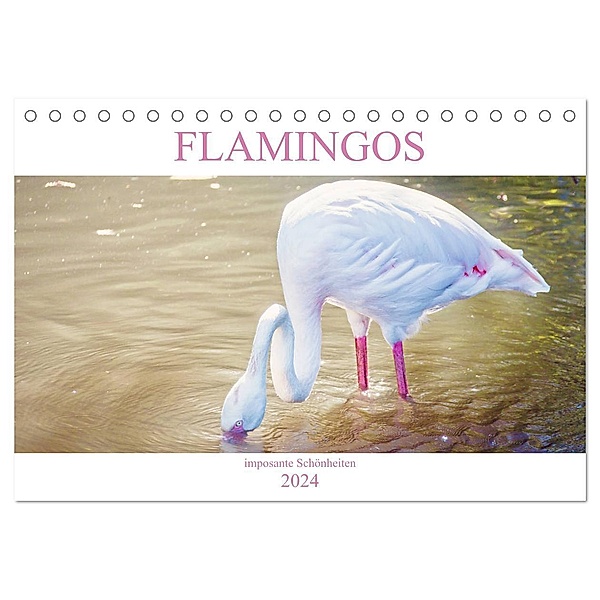 Flamingos - imposante Schönheiten (Tischkalender 2024 DIN A5 quer), CALVENDO Monatskalender, Liselotte Brunner-Klaus