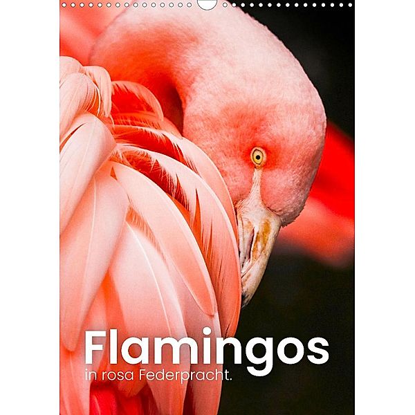 Flamingos in rosa Federpracht. (Wandkalender 2023 DIN A3 hoch), SF