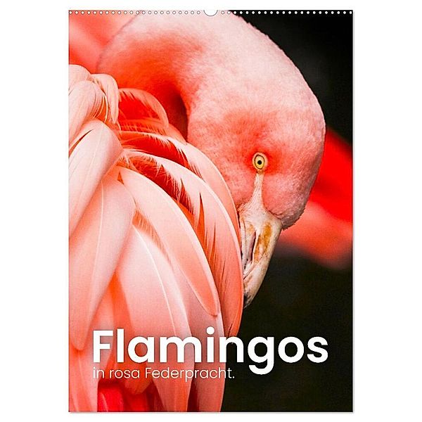 Flamingos in rosa Federpracht. (Wandkalender 2024 DIN A2 hoch), CALVENDO Monatskalender, SF