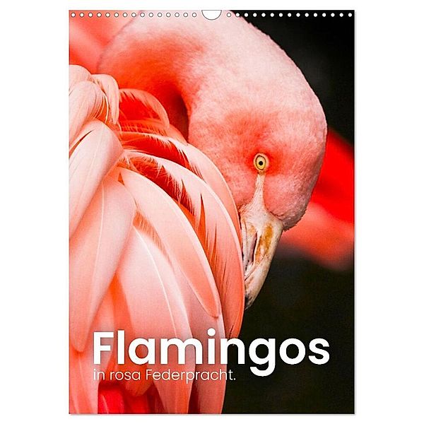 Flamingos in rosa Federpracht. (Wandkalender 2024 DIN A3 hoch), CALVENDO Monatskalender, SF