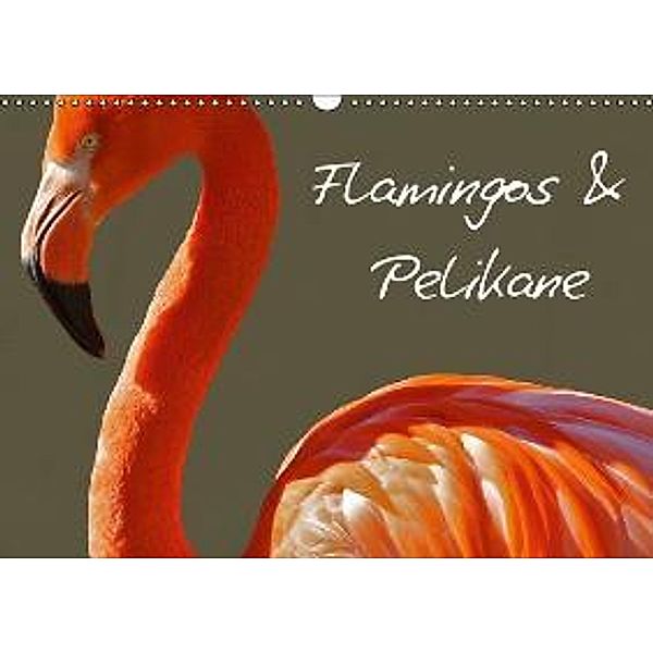 Flamingos & Pelikane (Wandkalender 2015 DIN A3 quer), Elisabeth Stanzer