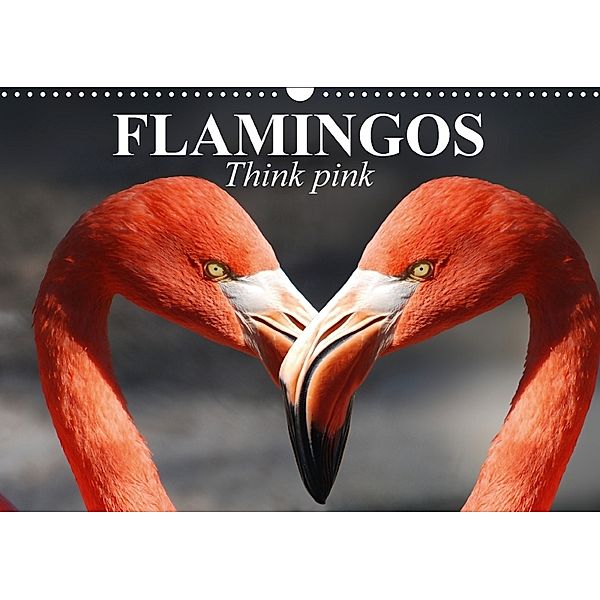 Flamingos Think pink (Wall Calendar 2018 DIN A3 Landscape), Elisabeth Stanzer