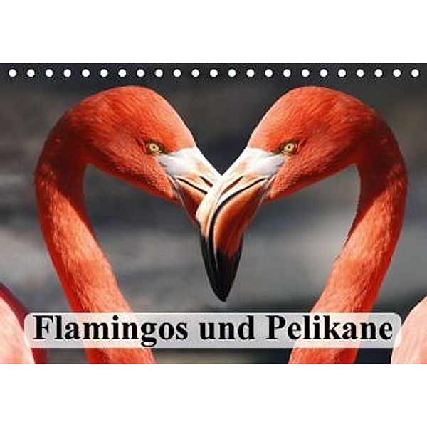 Flamingos und Pelikane (Tischkalender 2016 DIN A5 quer), Elisabeth Stanzer