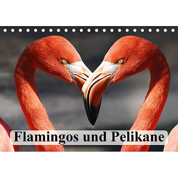 Flamingos und Pelikane (Tischkalender 2018 DIN A5 quer) Dieser erfolgreiche Kalender wurde dieses Jahr mit gleichen Bild, Elisabeth Stanzer