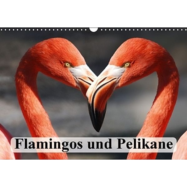 Flamingos und Pelikane (Wandkalender 2016 DIN A3 quer), Elisabeth Stanzer