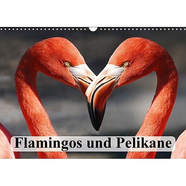 Flamingos und Pelikane (Wandkalender 2018 DIN A3 quer) Dieser erfolgreiche Kalender wurde dieses Jahr mit gleichen Bilde, Elisabeth Stanzer