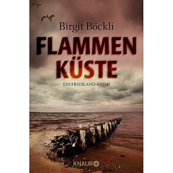 Flammenküste / Friesland-Krimi Bd.2, Birgit Böckli