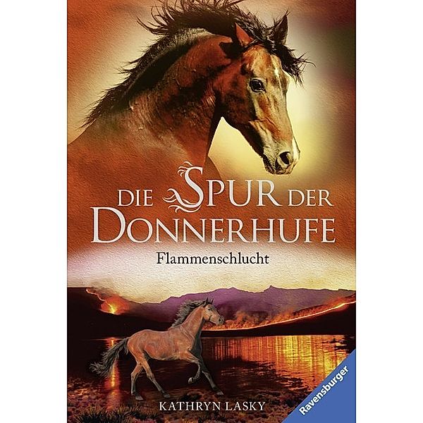 Flammenschlucht / Die Spur der Donnerhufe Bd.1, Kathryn Lasky