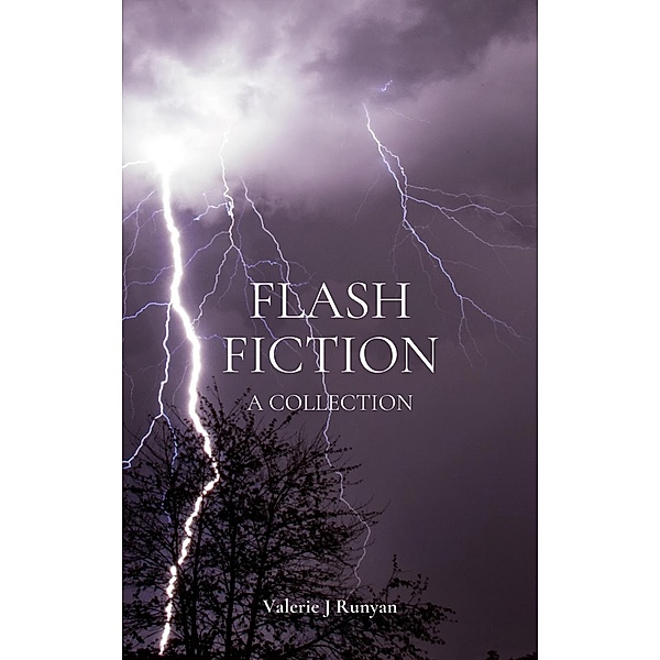 Flash Fiction, Valerie J Runyan