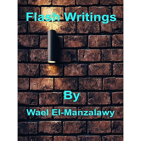 Flash Writings, Wael El-Manzalawy