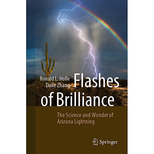 Flashes of Brilliance, Ronald L. Holle, Daile Zhang
