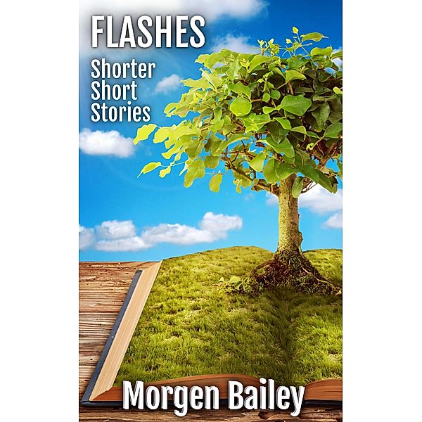 Flashes ~ Shorter Short Stories (Morgen Bailey's Short Story Collections) / Morgen Bailey's Short Story Collections, Morgen Bailey