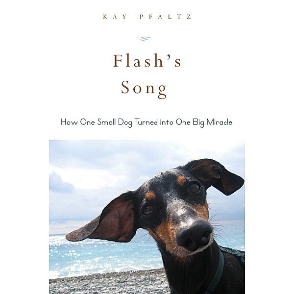 Flash's Song, Kay Pfaltz