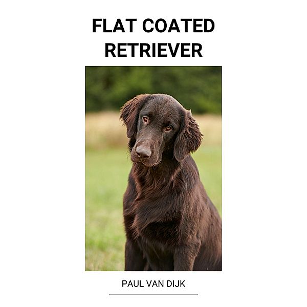 Flat Coated Retriever, Paul van Dijk