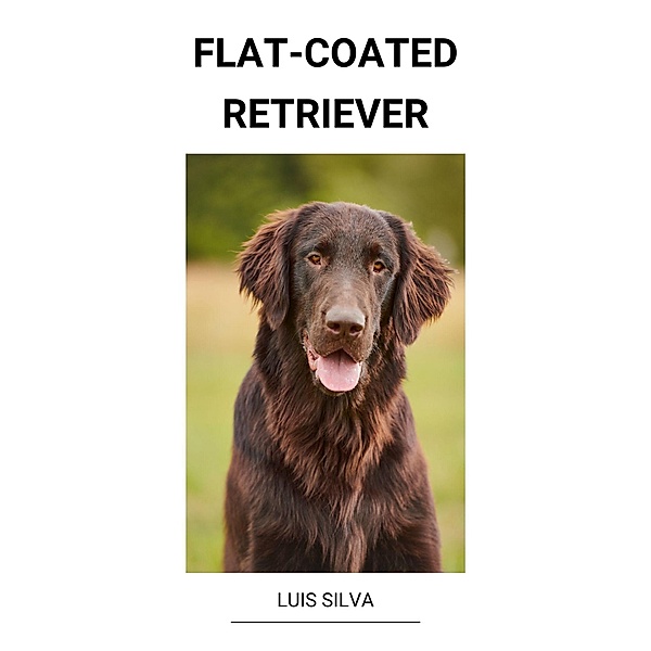 Flat-coated Retriever, Luis Silva