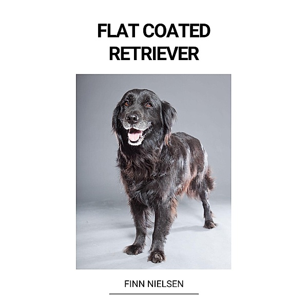 Flat Coated Retriever, Finn Nielsen