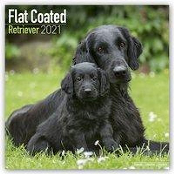Flat-Coated Retrievers 2021 - 16-Monatskalender mit freier DogDays-App, Flat-Coated Retrievers 2021