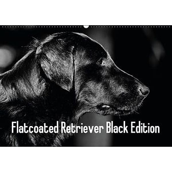 Flatcoated Retriever Black Edition (Wandkalender 2016 DIN A2 quer), Beatrice Müller