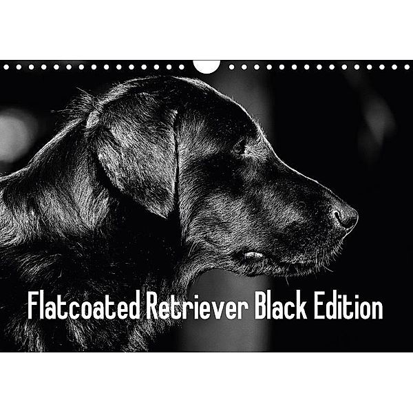 Flatcoated Retriever Black Edition (Wandkalender 2017 DIN A4 quer), Beatrice Müller