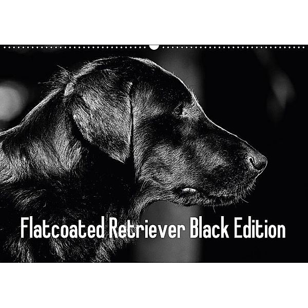 Flatcoated Retriever Black Edition (Wandkalender 2017 DIN A2 quer), Beatrice Müller