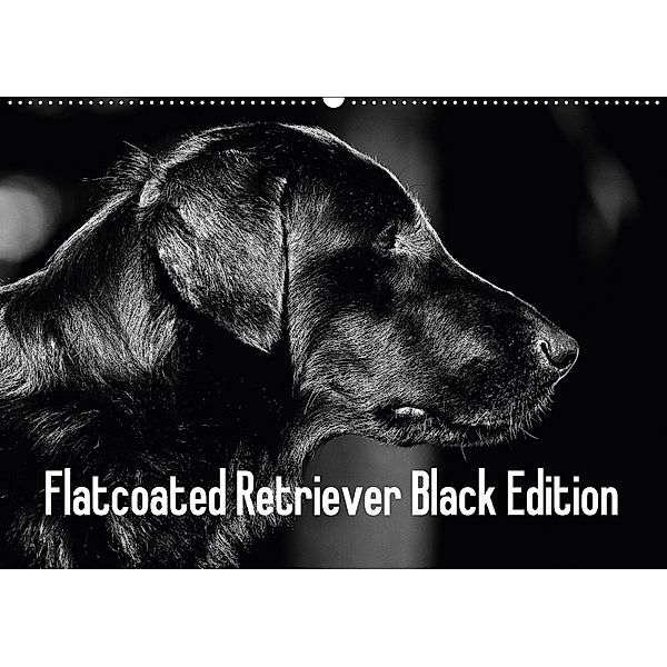 Flatcoated Retriever Black Edition (Wandkalender 2018 DIN A2 quer), Beatrice Müller