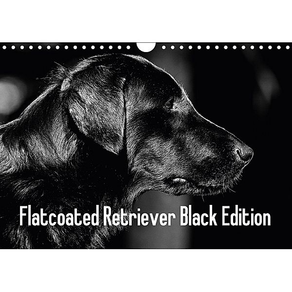 Flatcoated Retriever Black Edition (Wandkalender 2018 DIN A4 quer), Beatrice Müller