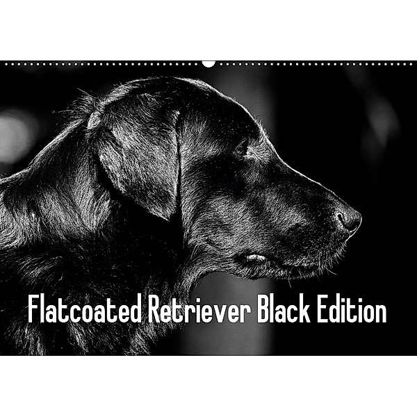 Flatcoated Retriever Black Edition (Wandkalender 2019 DIN A2 quer), Beatrice Müller