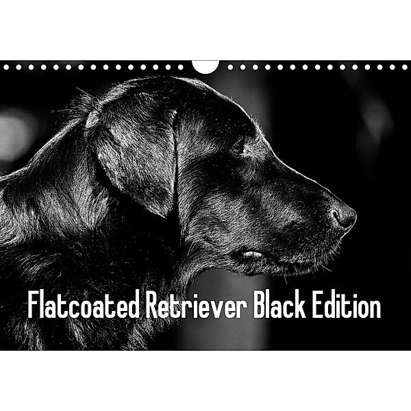 Flatcoated Retriever Black Edition (Wandkalender 2020 DIN A4 quer), Beatrice Müller
