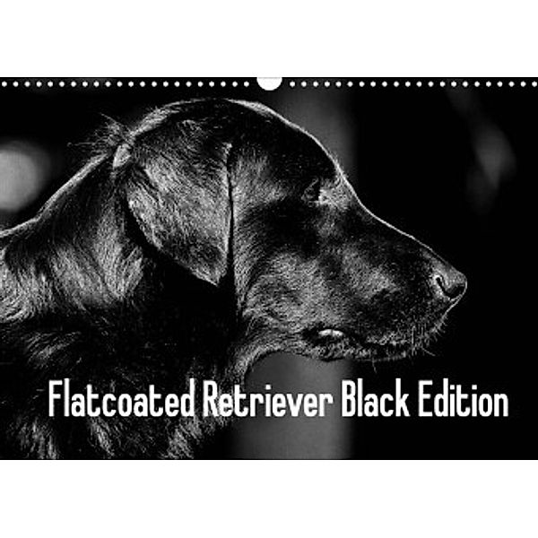 Flatcoated Retriever Black Edition (Wandkalender 2022 DIN A3 quer), Beatrice Müller