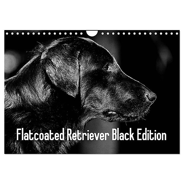 Flatcoated Retriever Black Edition (Wandkalender 2024 DIN A4 quer), CALVENDO Monatskalender, Beatrice Müller