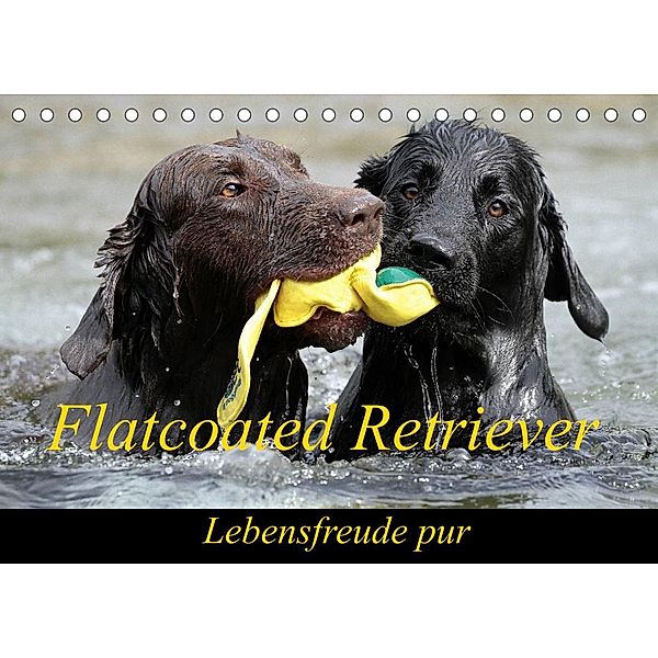 Flatcoated Retriever (Tischkalender 2023 DIN A5 quer), Beatrice Müller