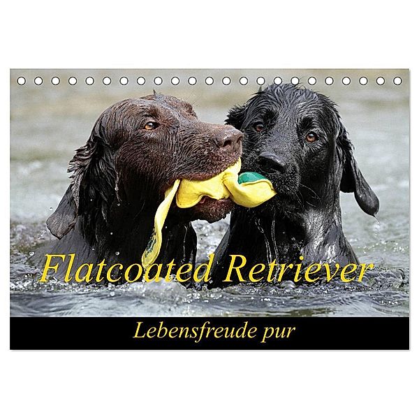 Flatcoated Retriever (Tischkalender 2024 DIN A5 quer), CALVENDO Monatskalender, Beatrice Müller