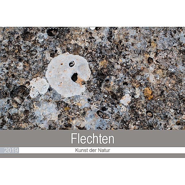 Flechten - Kunst der Natur (Wandkalender 2019 DIN A2 quer), Rolf Dietz