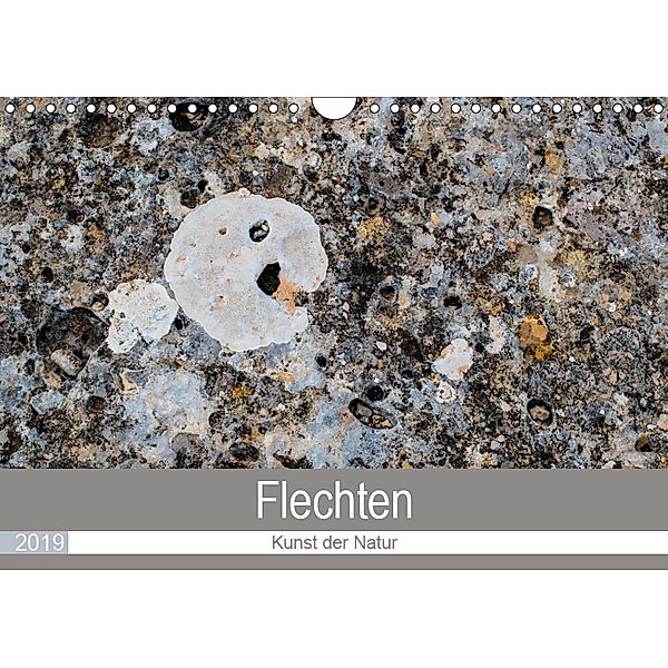 Flechten - Kunst der Natur (Wandkalender 2019 DIN A4 quer), Rolf Dietz