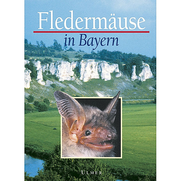 Fledermäuse in Bayern