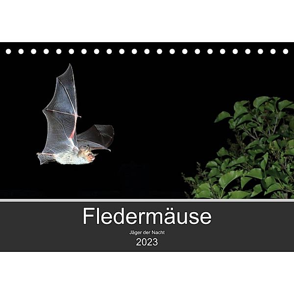 Fledermäuse - Jäger der Nacht (Tischkalender 2023 DIN A5 quer), Otto Schäfer
