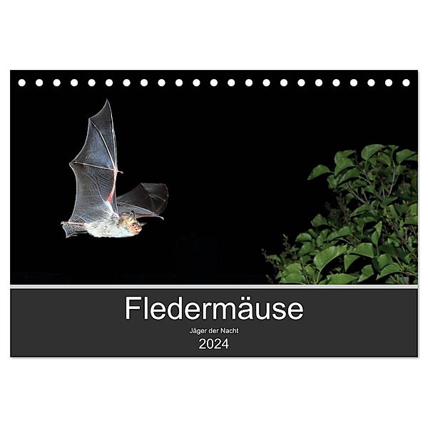 Fledermäuse - Jäger der Nacht (Tischkalender 2024 DIN A5 quer), CALVENDO Monatskalender, Otto Schäfer