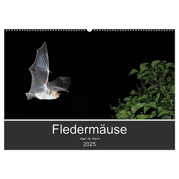 Fledermäuse - Jäger der Nacht (Wandkalender 2025 DIN A2 quer), CALVENDO Monatskalender, Calvendo, Otto Schäfer