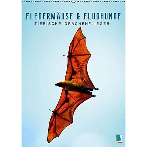 Fledermäuse und Flughunde: Tierische Drachenflieger (Wandkalender 2015 DIN A2 hoch), CALVENDO