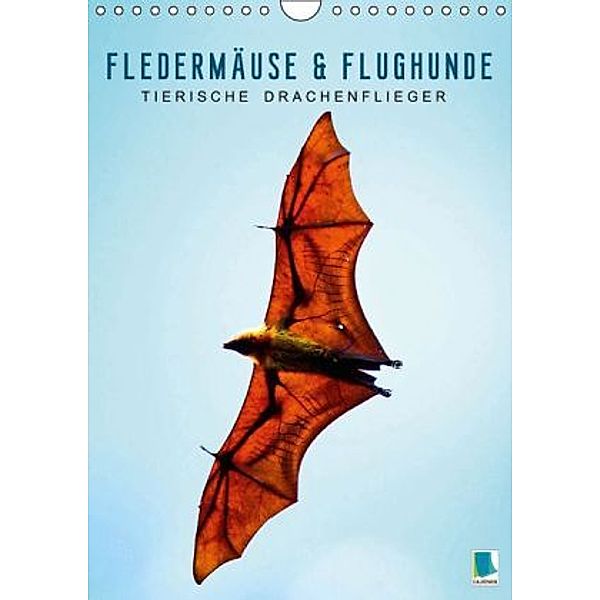 Fledermäuse und Flughunde: Tierische Drachenflieger (Wandkalender 2015 DIN A4 hoch), Calvendo
