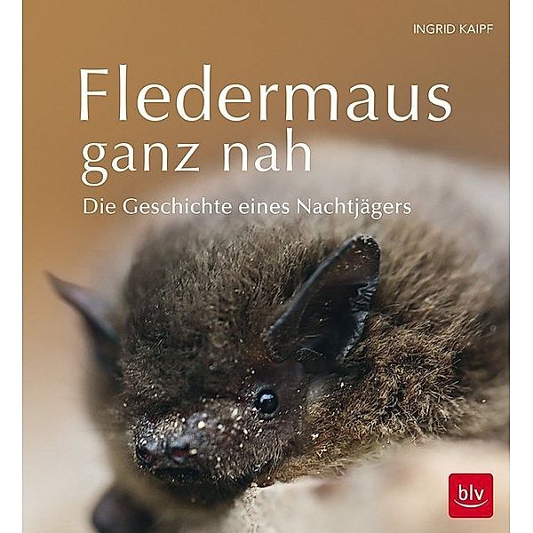 Fledermaus ganz nah, Ingrid Kaipf