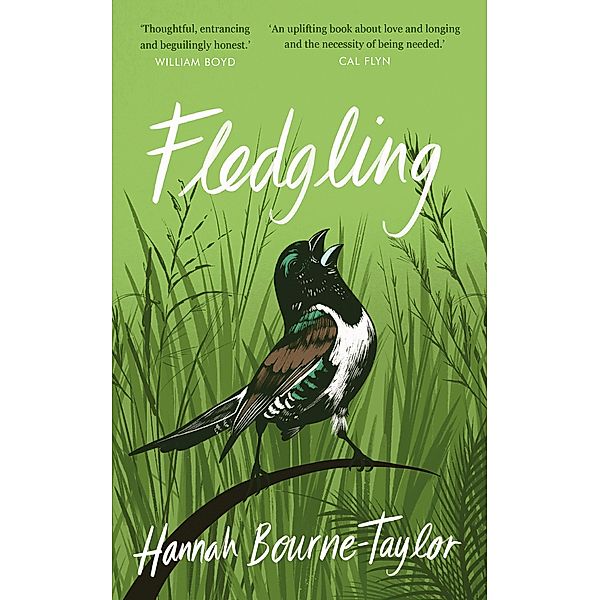 Fledgling, Hannah Bourne-Taylor