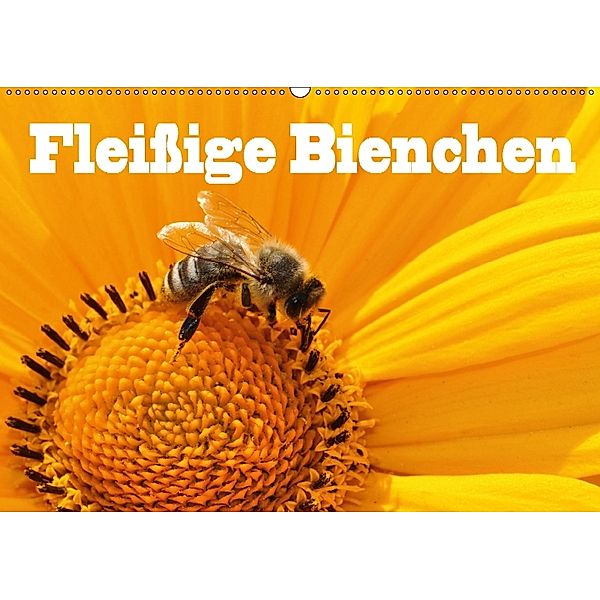 Fleißige Bienchen (Wandkalender 2018 DIN A2 quer), Jan Wolf