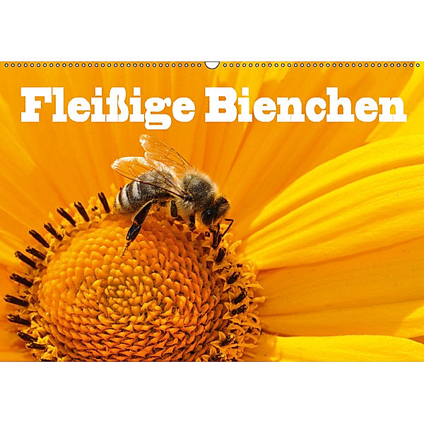 Fleissige Bienchen (Wandkalender 2019 DIN A2 quer), Jan Wolf