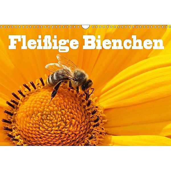 Fleißige Bienchen (Wandkalender 2021 DIN A3 quer), Jan Wolf