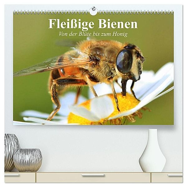 Fleißige Bienen. Von der Blüte bis zum Honig (hochwertiger Premium Wandkalender 2025 DIN A2 quer), Kunstdruck in Hochglanz, Calvendo, Elisabeth Stanzer