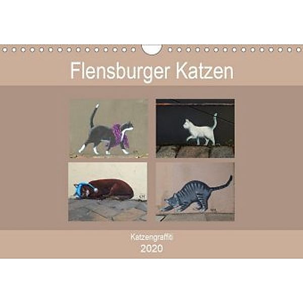 Flensburger Katzen (Wandkalender 2020 DIN A4 quer), Martina Busch