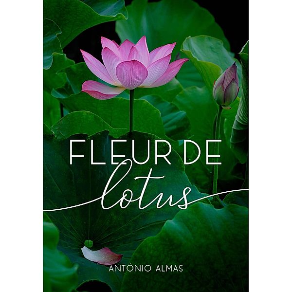 Fleur de Lotus, Antonio Almas